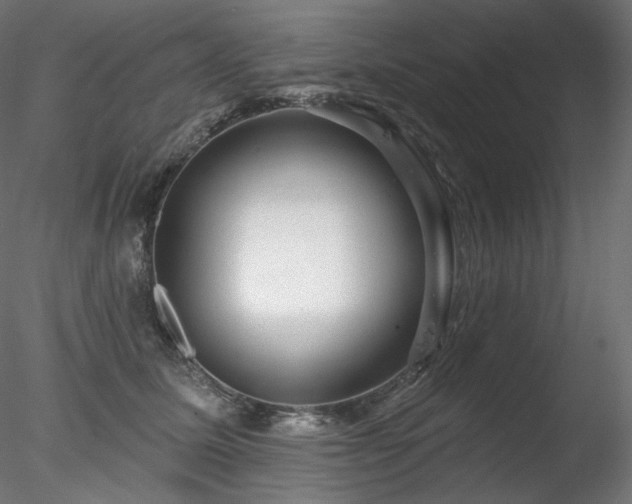 X0000078270611200611031144