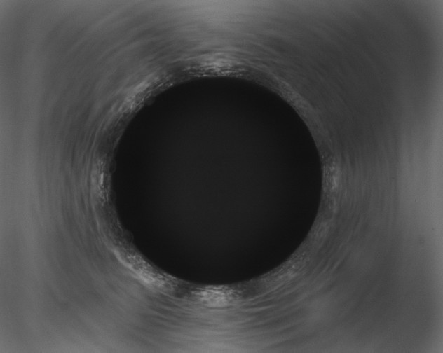 X0000078270615200611031144