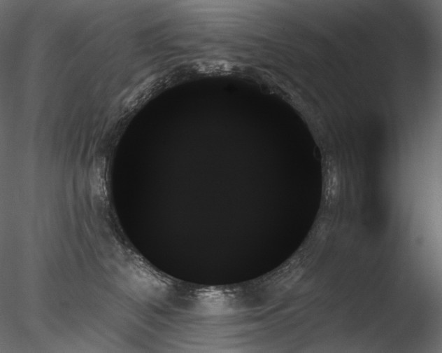 X0000078270616200611031144