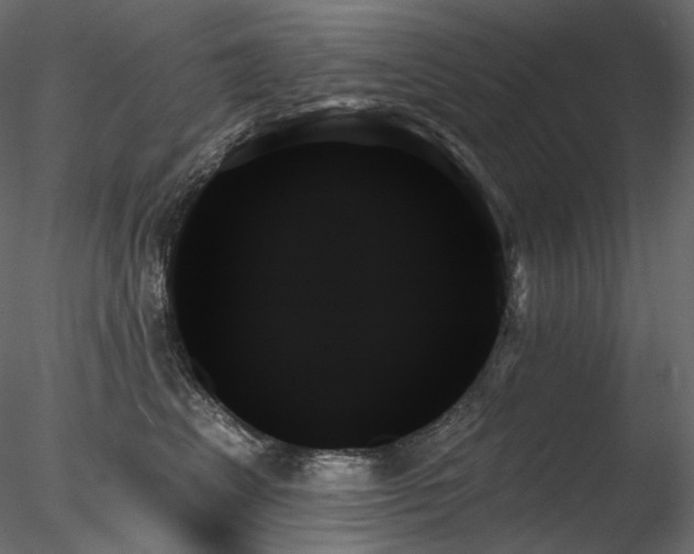 X0000078270617200611031144