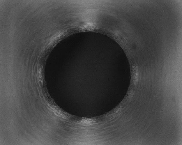 X0000078270619200611031144