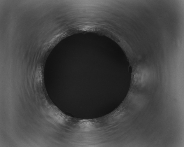 X0000078270620200611031144