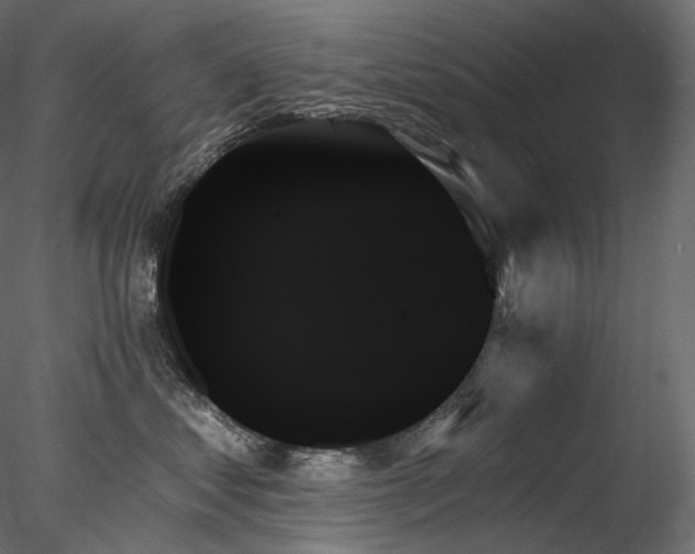 X0000078270621200611031144