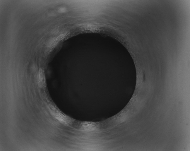 X0000078270624200611031144