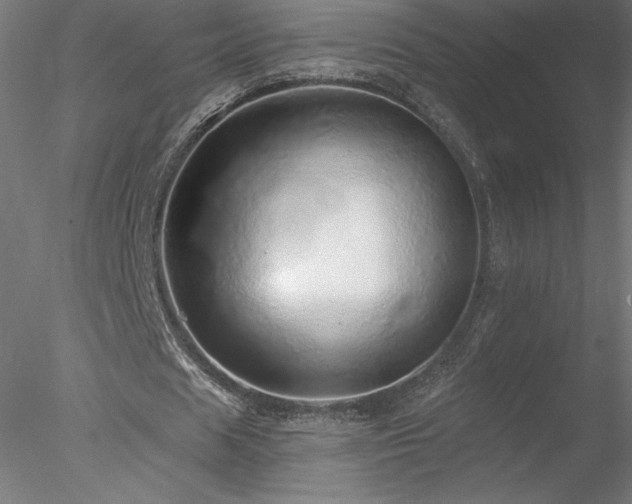X0000078270625200611031143