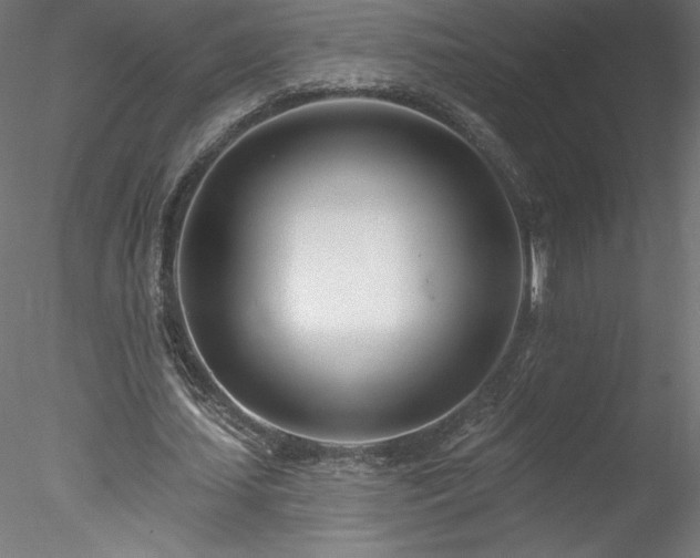 X0000078270627200611031143