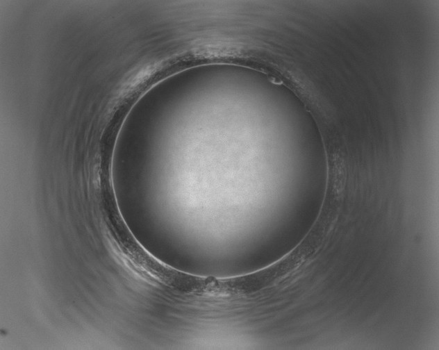 X0000078270631200611031143