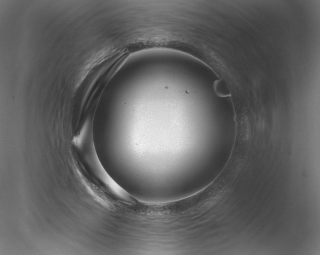 X0000078270638200611031143