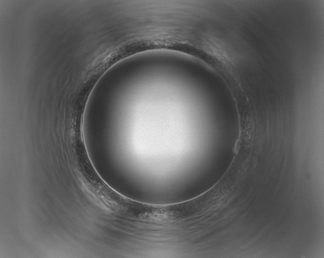 X0000078270639200611031143