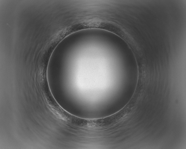 X0000078270641200611031143