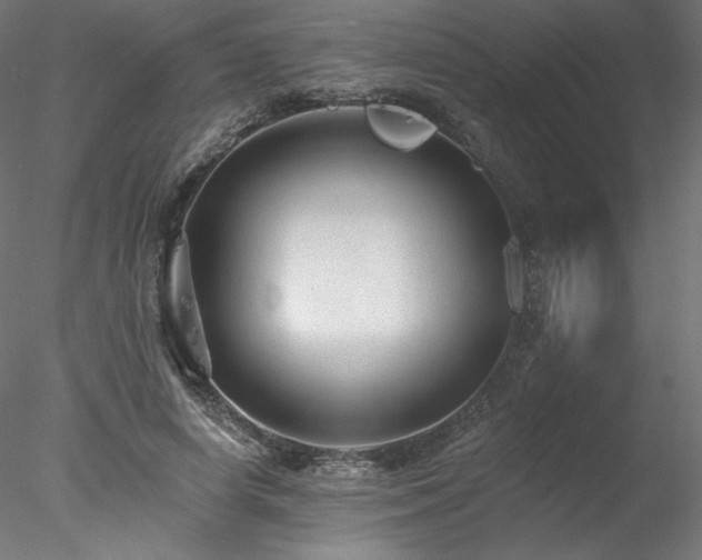 X0000078270642200611031143