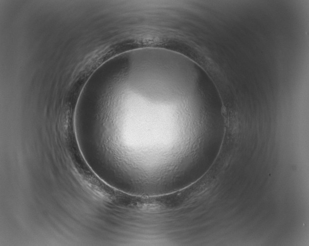 X0000078270645200611031143