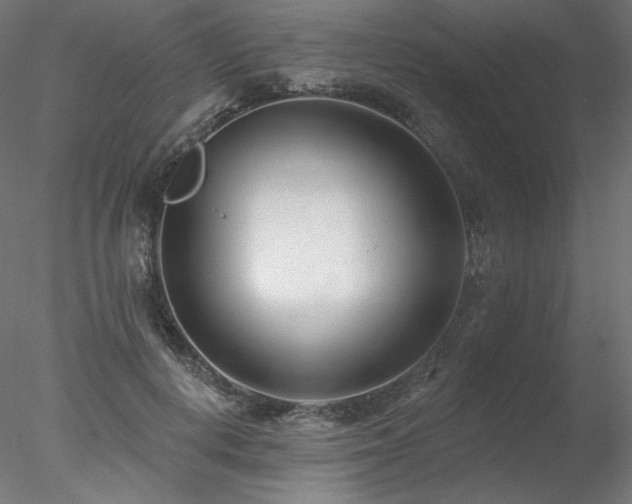 X0000078270648200611031143