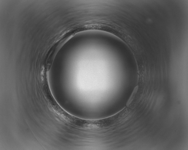 X0000078270649200611031143