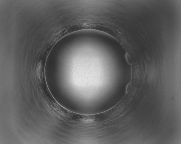 X0000078270651200611031143
