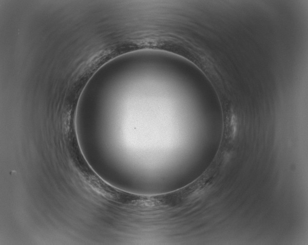 X0000078270652200611031144