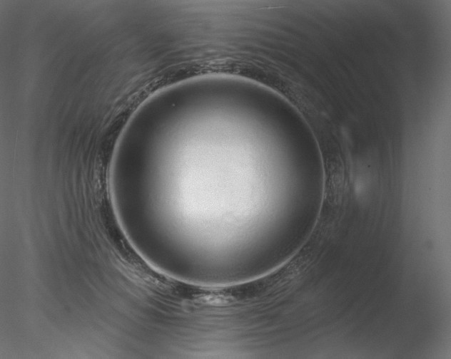 X0000078270654200611031144