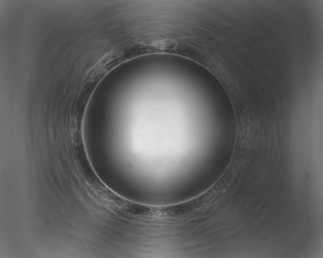 X0000078270656200611031144