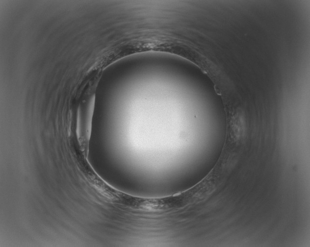 X0000078270657200611031144