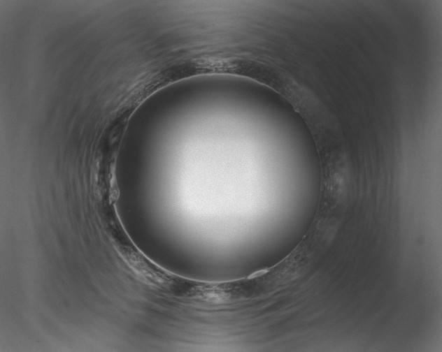 X0000078270658200611031144