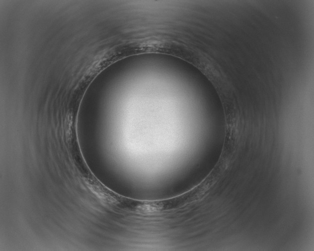 X0000078270660200611031144