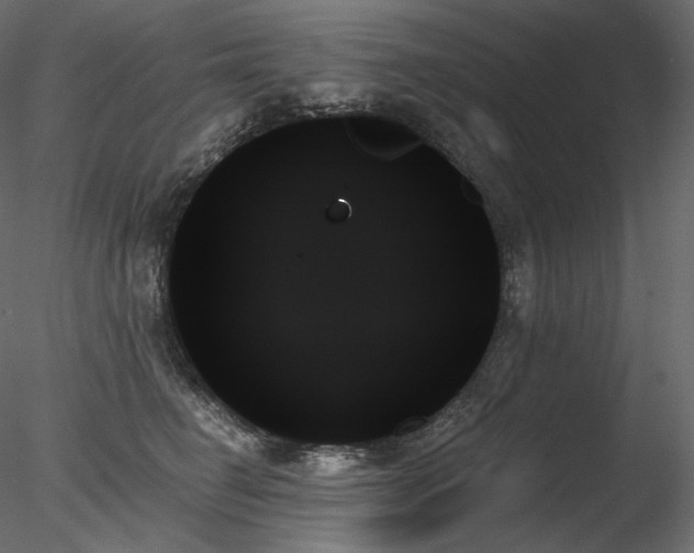 X0000078270662200611031144