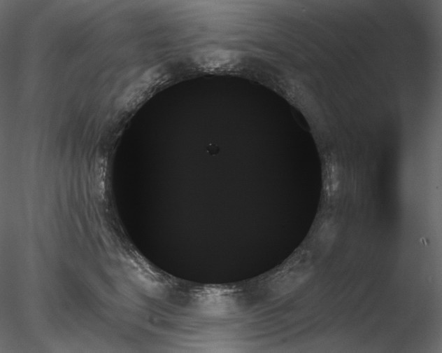 X0000078270664200611031144