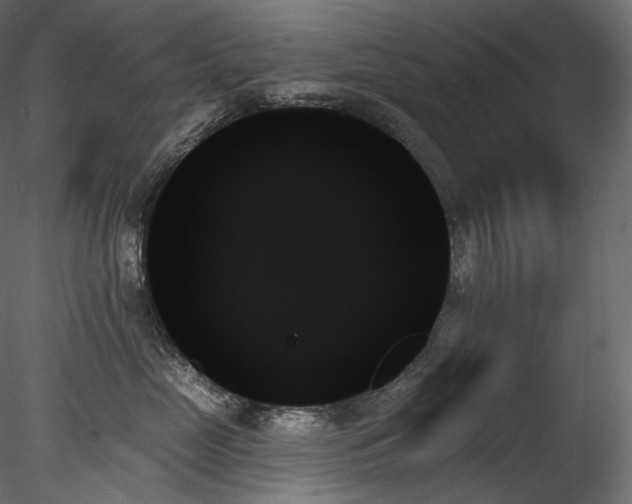 X0000078270669200611031144