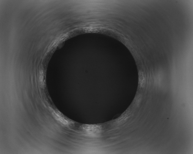 X0000078270670200611031144