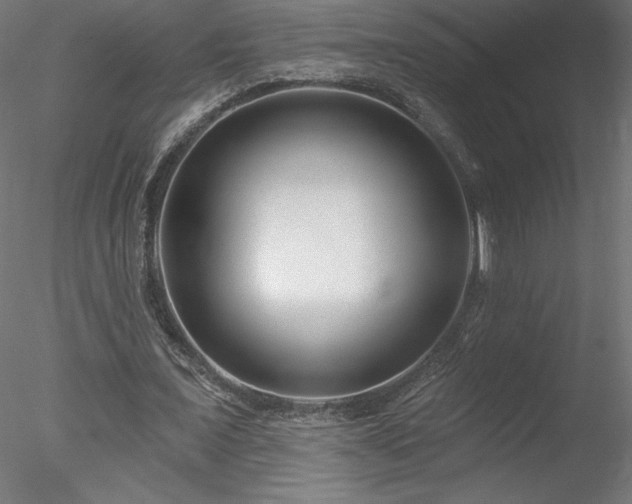 X0000078270675200611031143