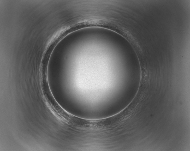 X0000078270678200611031143