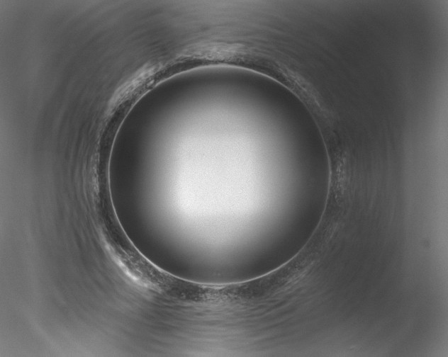 X0000078270682200611031143