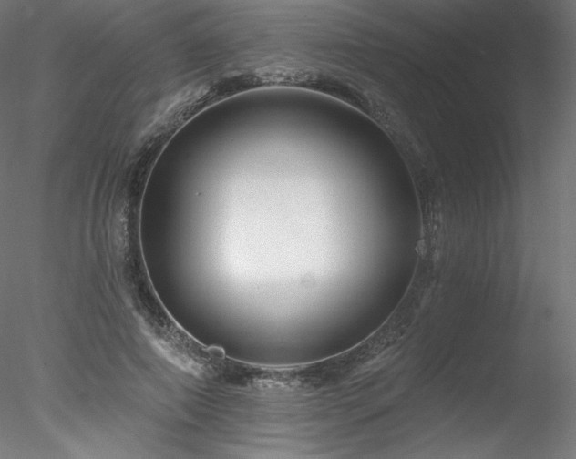 X0000078270690200611031143