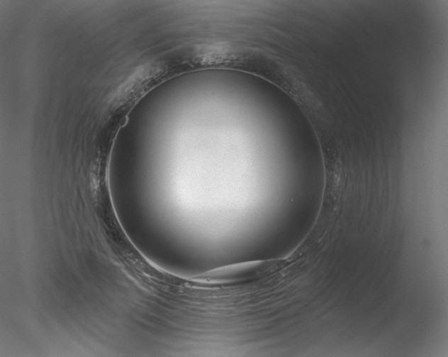 X0000078270691200611031143