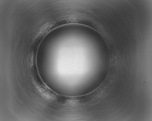 X0000078270694200611031143