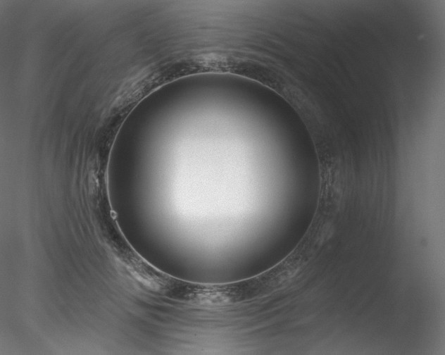X0000078270702200611031143