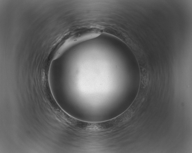 X0000078270704200611031143