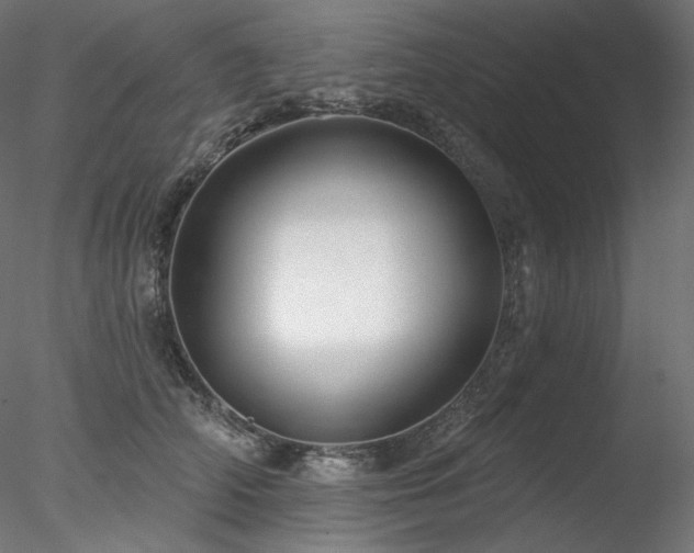 X0000078270706200611031142