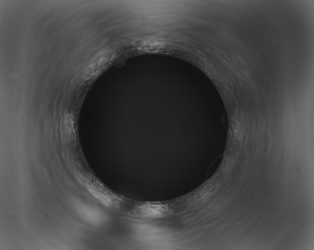 X0000078270711200611031142