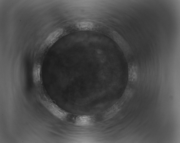 X0000078270717200611031142