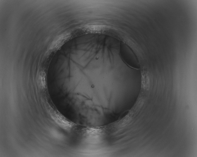 X0000078270718200611031142