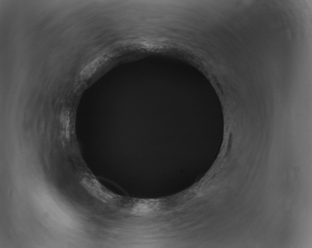 X0000078270720200611031142