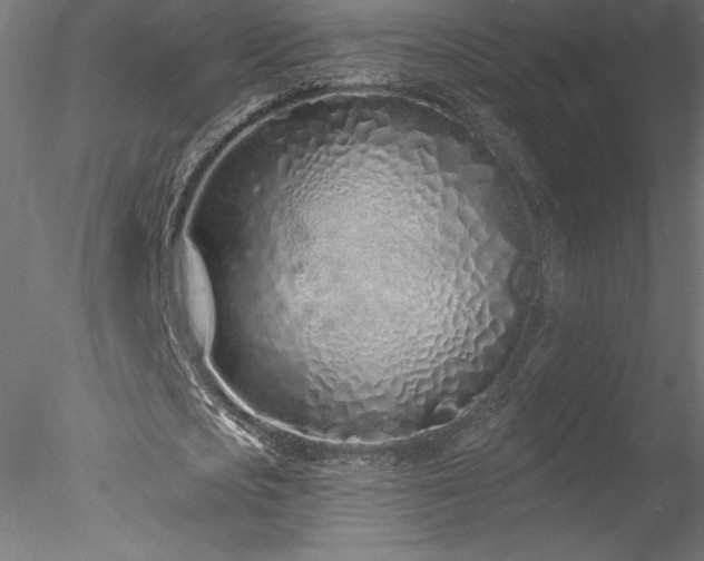 X0000078270721200611031141