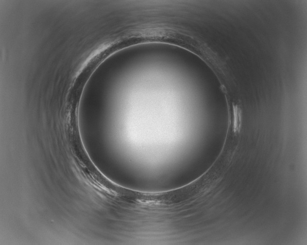 X0000078270723200611031141