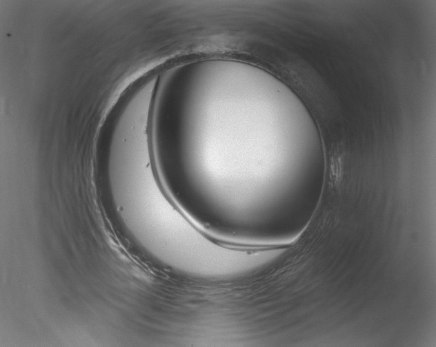 X0000078270724200611031141