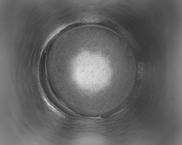 X0000078270726200611031142