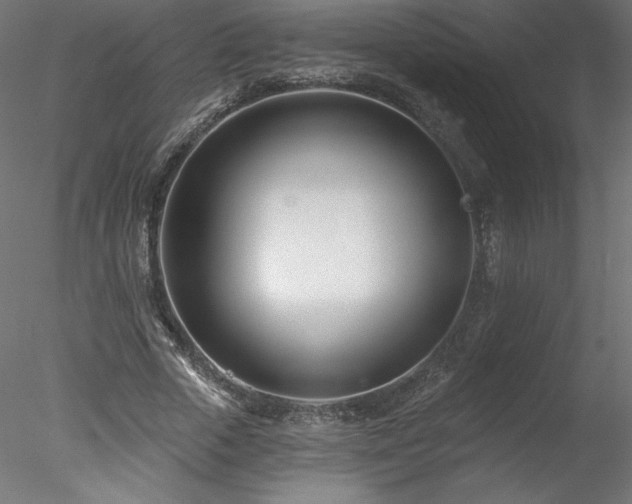 X0000078270729200611031142