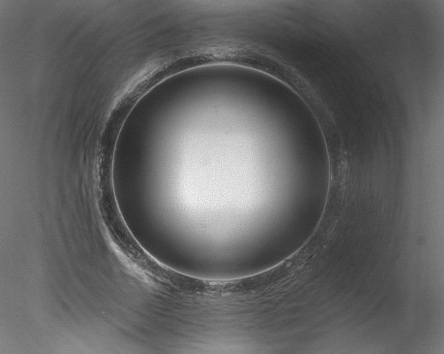 X0000078270730200611031142