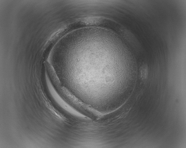 X0000078270733200611031142