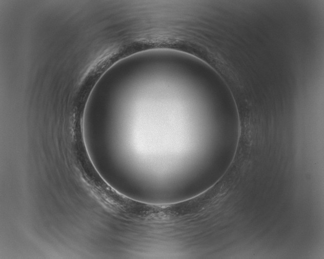 X0000078270735200611031142